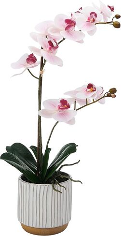 Mikasa Artificial Orchid in Pot, Real Touch Phalaenopsis Orchid, Cream Glaze Ceramic Pot, 16-Inch Single Branch, Fuchsia in Saudi Arabia