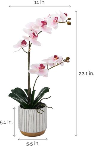 Mikasa Artificial Orchid in Pot, Real Touch Phalaenopsis Orchid, Cream Glaze Ceramic Pot, 16-Inch Single Branch, Fuchsia in Saudi Arabia