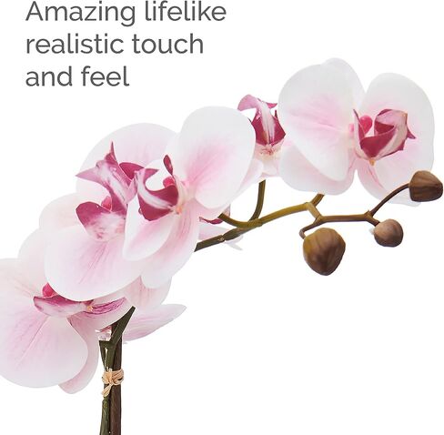 Mikasa Artificial Orchid in Pot, Real Touch Phalaenopsis Orchid, Cream Glaze Ceramic Pot, 16-Inch Single Branch, Fuchsia in Saudi Arabia