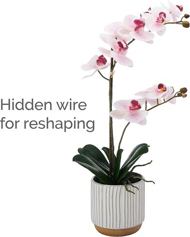 Mikasa Artificial Orchid in Pot, Real Touch Phalaenopsis Orchid, Cream Glaze Ceramic Pot, 16-Inch Single Branch, Fuchsia in Saudi Arabia