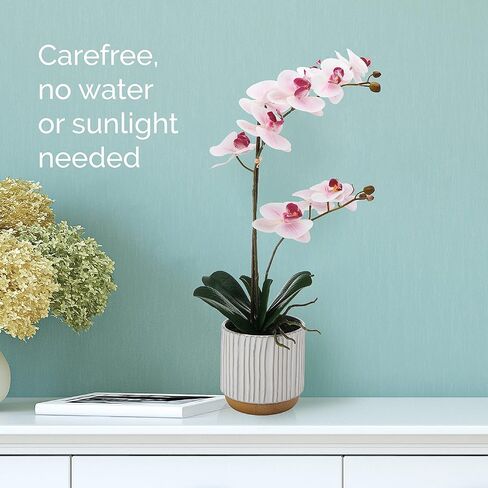 Mikasa Artificial Orchid in Pot, Real Touch Phalaenopsis Orchid, Cream Glaze Ceramic Pot, 16-Inch Single Branch, Fuchsia in Saudi Arabia