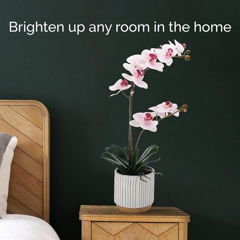 Mikasa Artificial Orchid in Pot, Real Touch Phalaenopsis Orchid, Cream Glaze Ceramic Pot, 16-Inch Single Branch, Fuchsia in Saudi Arabia