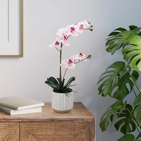 Mikasa Artificial Orchid in Pot, Real Touch Phalaenopsis Orchid, Cream Glaze Ceramic Pot, 16-Inch Single Branch, Fuchsia in Saudi Arabia