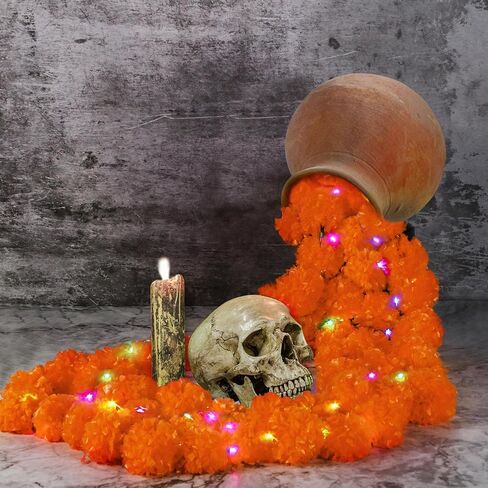 اكليل زهور القطيفة للتزيين، 5 قطع من اكليل زهور القطيفة مع ضوء للديكور الهندي، ديكورات زهرة القطيفة الاصطناعية بطول 5 قدم، زهور القطيفة ليوم الموتى وحفلات الزفاف والهالوين in Kuwait