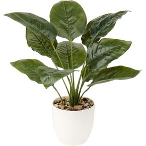 نباتات وهمية رائعة بطول 45.72 سم نبات Monstera الاصطناعي لديكور المنزل في الأماكن المغلقة بوعاء نباتات خضراء صناعية نبات منزلي صناعي في وعاء أبيض لديكورات مطبخ الحمام