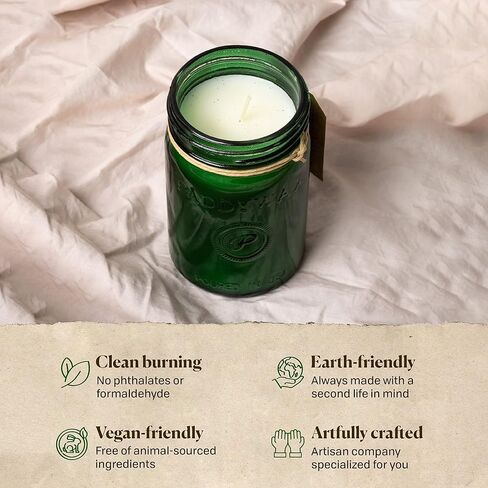 Paddywax Relish Artisan Hand-Poured Soy Wax Scented Candle, 9.5-Ounce Glass Jar with Lid, Balsam + Fir in Saudi Arabia