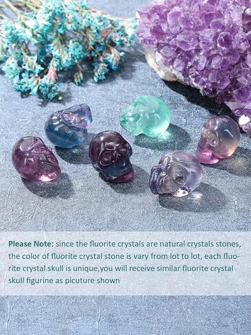 CrystalTears Fluorite Crystal Skull Figurine Hand Carved Healing Crystal Gemstone Mini Skull Head Statue Sculpture Natural Quartz Crystal Stone Ornament for Home Desk Halloween Decor Crytal Gift 1.2" in Saudi Arabia