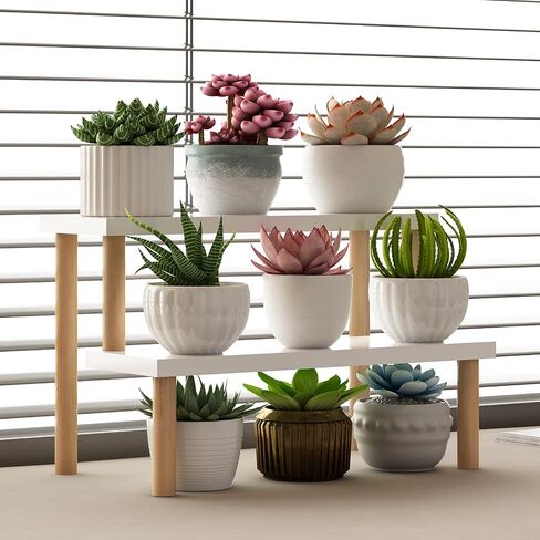 Small Plant Stand Indoor Ladder Shelf Desk, 2 Tiers Desktop Flower Stand Window Sill ,Wood Display Stand for Succulent Cupcake Spice Rack Countertop ( White, 14.2") in Saudi Arabia