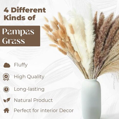 CRMADA 80 Pcs Pampass Grass - 17 Inch Small Pampas with White, Natural Dried Grass, Flowers, Reed & Bunny Tails Stems for Boho Decor, Parties, Weddings Home Decor Soul Concepts, (DPG-01) in Kuwait