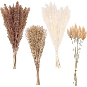 80 Pcs Pampas Grass, 17.5 Inches Natural Dried Pampas Grass, 80 White Pampas Grass, Natural Bunny Tail, Natural Fluffy Pampas Grass, (White) (Mix) in Saudi Arabia