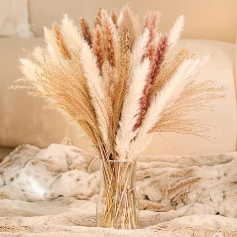 LeoAqua 80 قطعة من عشب بامباس، 17.5 بوصة عشب بامباس طبيعي مجفف، 80 عشب بامباس أبيض، ذيل أرنب طبيعي، عشب بامباس طبيعي رقيق، (أبيض) (أبيض) in Saudi Arabia