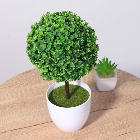 جارنيك نباتات اصطناعية محفوظة بوعاء، 3 قطع من نباتات بوعاء صغيرة من خشب البقس الأخضر توبياري كرة العشب الأخضر في الاصيص، نباتات منزلية صغيرة للاستخدام الداخلي والمكتب وسطح الطاولة ديكور مركزي in Kuwait