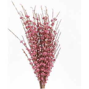 10 Pieces 29.5" Long of Artificial Flowers Faux Jasmine Fake Flower Pussy Willow Branches Stems for Vase Wedding Home Office Party Hotel Restaurant Decoration (Dark Purple) in Saudi Arabia