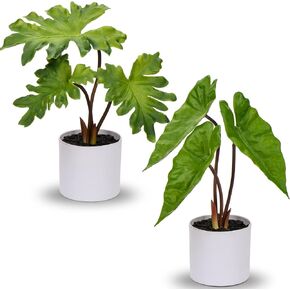 Hollyone Fake Plants Set of 2 Potted Faux Monstera Leaf Artificial Alocasia Plant in Matte Black Pot Greenery Aesthetic House Plants for Home Decor Indoor Bathroom Table Shelf Desk Office Decoration in Saudi Arabia