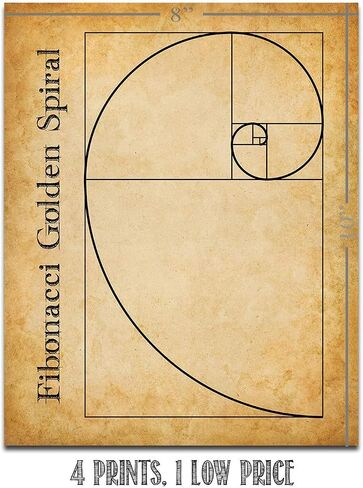 Math Art Prints-Archimedean Spiral, Euler's Formula, Fibonacci Golden Spiral, Pythagoras Theorem-Set of Four Gallery Wall 8x10 Unframed - Gift & Decor For Teachers, Classroom & Math Students Under $20 in Saudi Arabia
