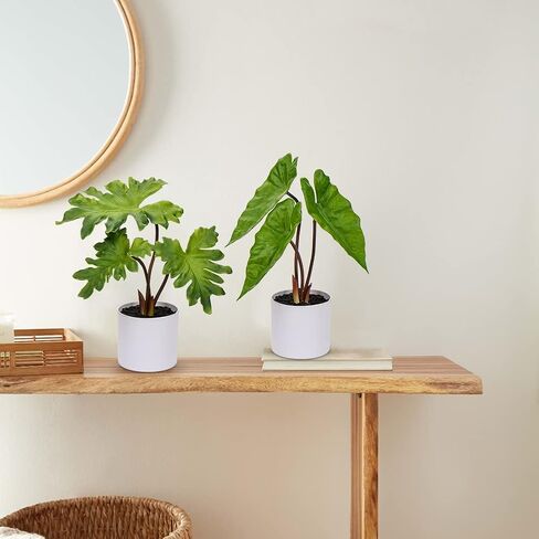 Hollyone Fake Plants Set of 2 Potted Faux Monstera Leaf Artificial Alocasia Plant in Matte Black Pot Greenery Aesthetic House Plants for Home Decor Indoor Bathroom Table Shelf Desk Office Decoration in Kuwait