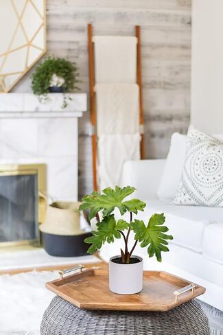Hollyone Fake Plants Set of 2 Potted Faux Monstera Leaf Artificial Alocasia Plant in Matte Black Pot Greenery Aesthetic House Plants for Home Decor Indoor Bathroom Table Shelf Desk Office Decoration in Kuwait