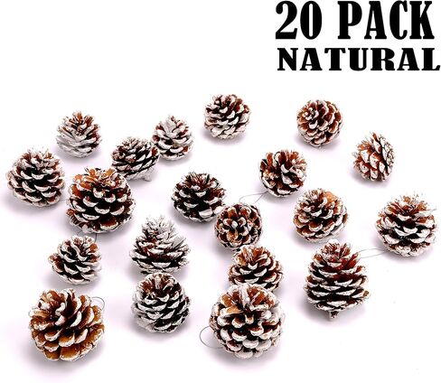 JEKOSEN 24PCS Christmas Ball Ornaments for Xmas Tree Decor 2.36" Shatterproof Christmas Tree Decorations with Hanging Rope Multi Color (Light Blue & White in Kuwait