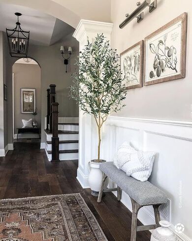 Phimos Artificial Olive Tree Tall Fake Potted Olive Silk Tree with Planter Large Faux Olive Branches and Fruits Artificial Tree for Modern Home Office Living Room Floor Decor Indoor (5.24FT) in Kuwait