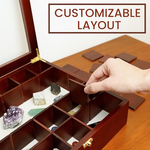 SmartyRocks Adjustable Rock Display Case - Rock Collection Box with Fabric Bed for Rock and Mineral Display - Dark-Finish Shadow Box with Shelves for Crystal Storage - Display Cases for Collectibles in Kuwait