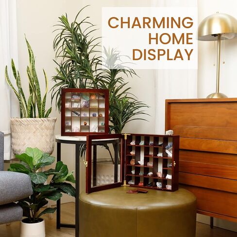 SmartyRocks Adjustable Rock Display Case - Rock Collection Box with Fabric Bed for Rock and Mineral Display - Dark-Finish Shadow Box with Shelves for Crystal Storage - Display Cases for Collectibles in Kuwait