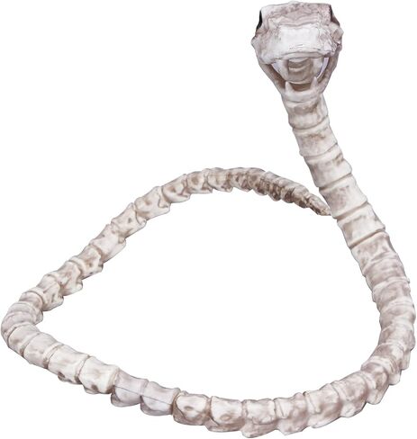 MCOSER 39.97 Inch Snake Skeleton Prop Halloween Snake Skull Statue Spooky Haunted House Decorations Decorations Props in Saudi Arabia