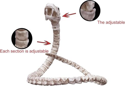 MCOSER 39.97 Inch Snake Skeleton Prop Halloween Snake Skull Statue Spooky Haunted House Decorations Decorations Props in Saudi Arabia