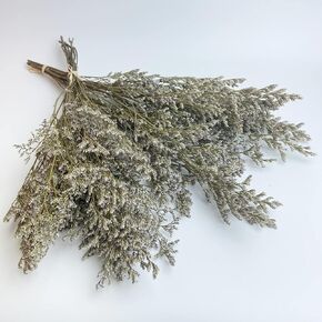 Birtlynn Preserved Caspia Statice Flower Bouquets, 100% Natural Long Lasting Flowers, 17 Inch Arrangements for Vase, Home Decoration Photo Props Parties and Weddings, DIY Décor-Statice Green