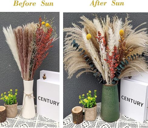 Pampas Grass Decor, 88PCS Large Fluffy Colorful Natural Dried Flowers Bouquet, Pompous Grass Boho Home Room Decor with White Brown Pompas, Eucalyptus, Lover Grass, Gold Billy Ball, 17.5" Tall in Saudi Arabia