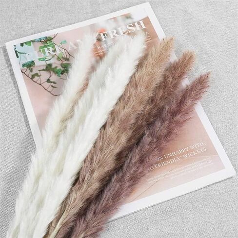 Pampas Grass Decor, 88PCS Large Fluffy Colorful Natural Dried Flowers Bouquet, Pompous Grass Boho Home Room Decor with White Brown Pompas, Eucalyptus, Lover Grass, Gold Billy Ball, 17.5" Tall in Saudi Arabia