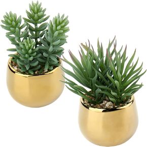 Briful Small Artificial Succulents in Pots Set of 3 Realistic Faux Succulents Plants with Gold Ceramic Pots Cute Mini Fake Plants Decor for Modern Home Table Office Desk Bathroom Shelf Decoration in Kuwait