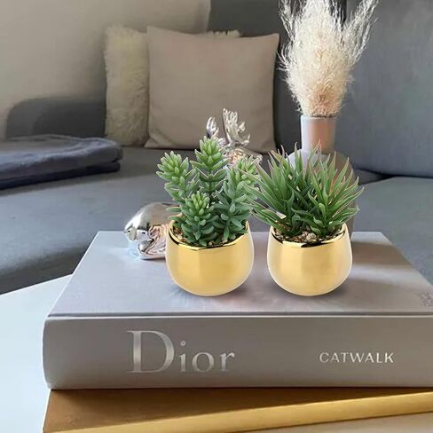 Briful Small Artificial Succulents in Pots Set of 3 Realistic Faux Succulents Plants with Gold Ceramic Pots Cute Mini Fake Plants Decor for Modern Home Table Office Desk Bathroom Shelf Decoration in Kuwait