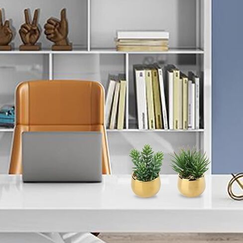 Briful Small Artificial Succulents in Pots Set of 3 Realistic Faux Succulents Plants with Gold Ceramic Pots Cute Mini Fake Plants Decor for Modern Home Table Office Desk Bathroom Shelf Decoration in Kuwait