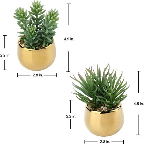 Briful Small Artificial Succulents in Pots Set of 3 Realistic Faux Succulents Plants with Gold Ceramic Pots Cute Mini Fake Plants Decor for Modern Home Table Office Desk Bathroom Shelf Decoration in Kuwait