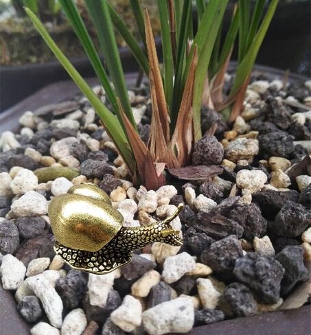 Personality Pure Copper Mini Snail Statue Ornaments Retro Desk Antique Brass Tea Pet Home Decorations for Living Room (A) in Kuwait