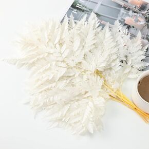Tavkite Fern Preserved White Ferns, 10 PCS Dried Boston Fern with Stems, 15'' Real Leaves for Dried Flowers Arrangements Wedding Garland Bouquets Home Party Centerpiece Table Decorations Vase Filler