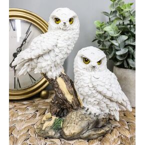 Ebros Mystical Two White Snowy Baby Owlets Perching On Tree Branch Statue 7" Wide Realistic Nocturnal Owl Pair Sculpture Nature Animal Bird Owls Figurine in Saudi Arabia