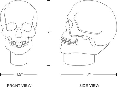 LampLust Glass Skull Home Decor - Halloween Decoration, 7 Inch Statue, Opaque Black, Durable Heavy Glass, Realistic Replica Human Skeleton Head - for Gothic Home Decor in Saudi Arabia