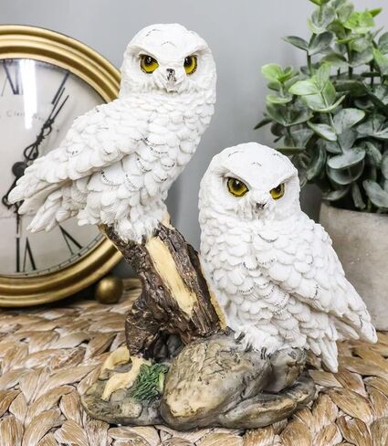 Ebros Mystical Two White Snowy Baby Owlets Perching On Tree Branch Statue 7" Wide Realistic Nocturnal Owl Pair Sculpture Nature Animal Bird Owls Figurine in Saudi Arabia