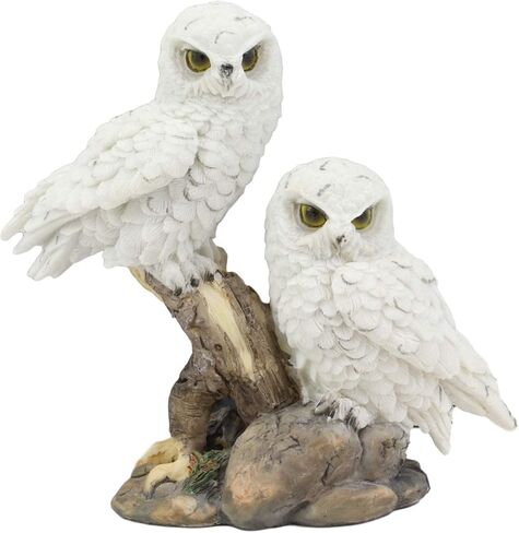 Ebros Mystical Two White Snowy Baby Owlets Perching On Tree Branch Statue 7" Wide Realistic Nocturnal Owl Pair Sculpture Nature Animal Bird Owls Figurine in Saudi Arabia