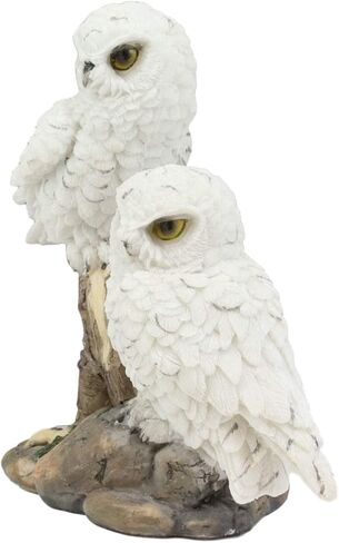 Ebros Mystical Two White Snowy Baby Owlets Perching On Tree Branch Statue 7" Wide Realistic Nocturnal Owl Pair Sculpture Nature Animal Bird Owls Figurine in Saudi Arabia