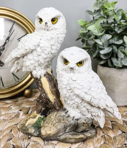Ebros Mystical Two White Snowy Baby Owlets Perching On Tree Branch Statue 7" Wide Realistic Nocturnal Owl Pair Sculpture Nature Animal Bird Owls Figurine in Saudi Arabia