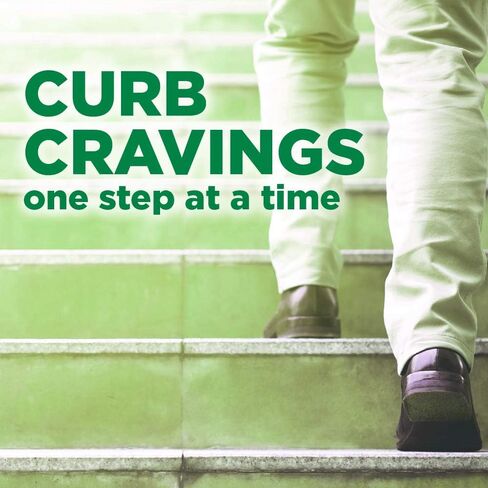 علكة أمازون بيسك كير غير المطلية بالنيكوتين بولاكريلكس 2 ملغ (النيكوتين)، بنكهة النعناع، ​​مساعد التوقف عن التدخين، 220 قطعة in Kuwait