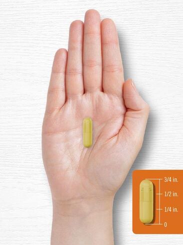 Carlyle Turmeric Curcumin Supplement 2400mg | 180 Powder Capsules | Herbal Formula | Non-GMO, Gluten Free in Saudi Arabia