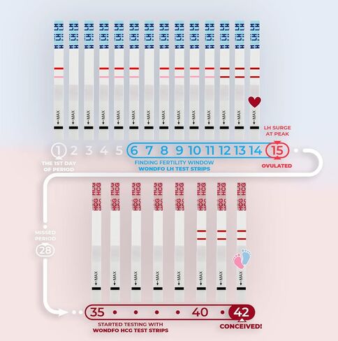 Wondfo 50 Ovulation Test Strips and 20 Pregnancy Test Strips Kit | Rapid Test Detection for Home Self-Checking (50 LH + 20 HCG)-Expirs in Dec 2026 in Saudi Arabia