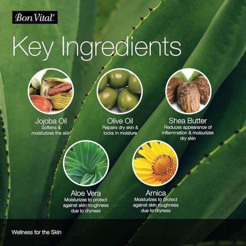 غسول التدليك بون فيتال أورجانيكا مع مكونات عضوية معتمدة لتدليك مريح وصديق للأرض، غسول مرطب طبيعي لتدليك الظهر والرقبة المريح، 5 جالون، قد تختلف الملصقات in Kuwait