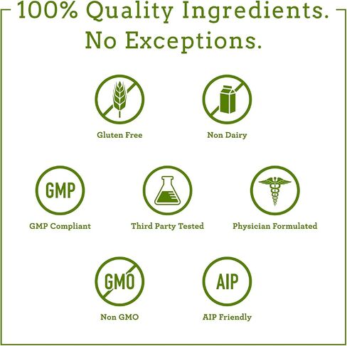 Dr. Amy Myers Revive Powder for Leaky Gut Repair – L Glutamine Powder to Reduce Symptoms Like Constipation, IBS, Diarrhea, Bloating – Plant Based Supplement to Maintain A Healthy Gut Lining in Saudi Arabia
