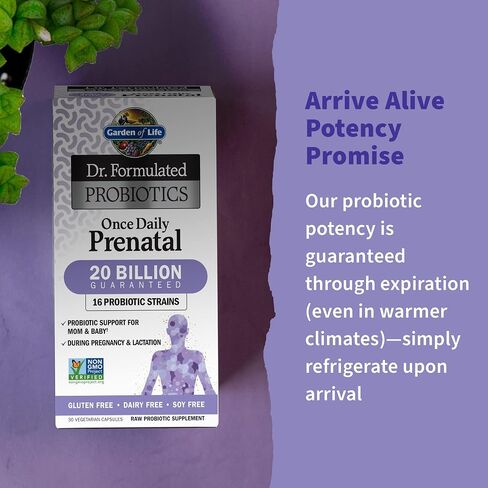 Garden of Life - Dr. Formulated Probiotics Once Daily Prenatal - Acidophilus and Bifidobacteria Probiotic Support for Mom and Baby - Gluten, Dairy, and Soy-Free - 30 Vegetarian Capsules in Saudi Arabia