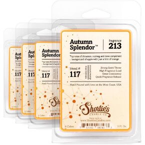 Fall Spice Wax Melts Bulk Pack - Formula 117-4 Highly Scented 3 Oz. Bars (12 Oz. Total) - Made with Natural Oils - Holiday Air Freshener Cubes Collection in Saudi Arabia