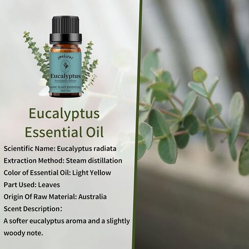 مجموعة هدايا زيت اللبان المر العطري 10 مل من زيت المر العطري، زيت علاج عطري للناشر والعطر وصناعة شموع الصابون (اللبان + المر) in Kuwait